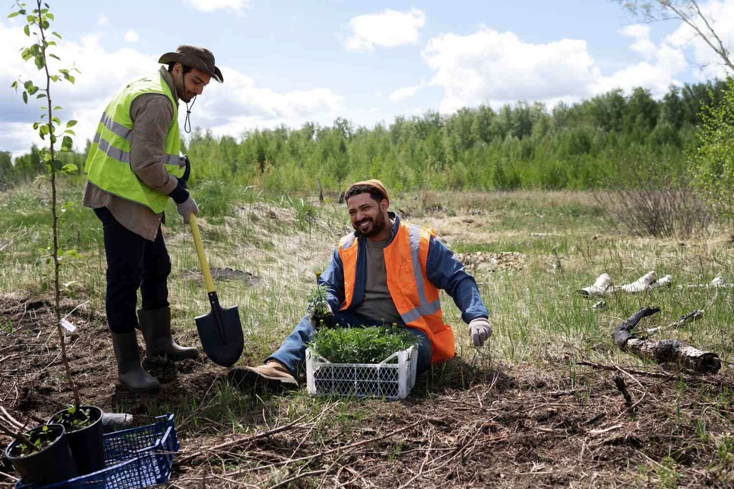 Best Tree Care Services  in New Castle, CO